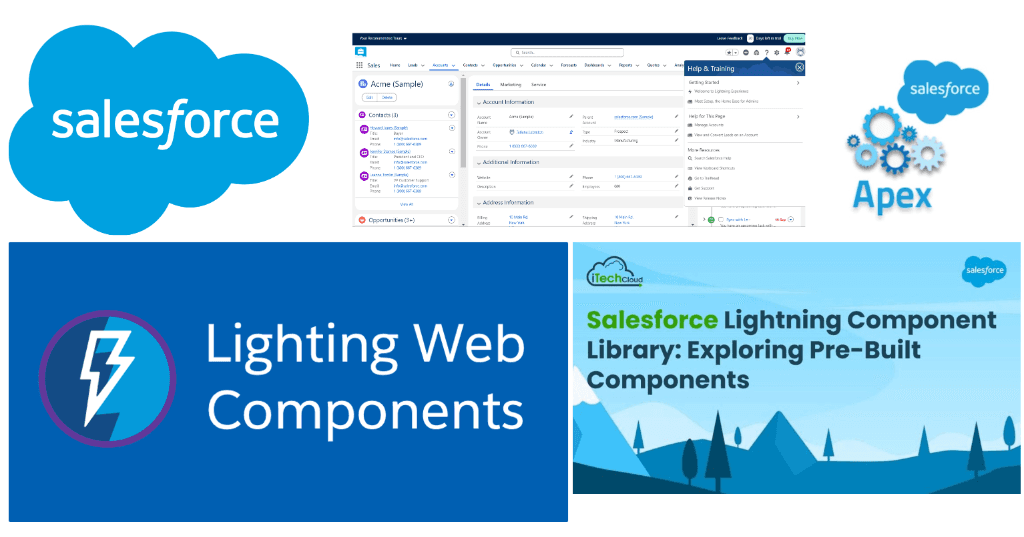 Salesforce CRM Customization
